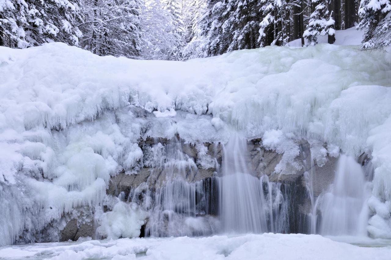 Apartmany Gryf Harrachov Exteriör bild